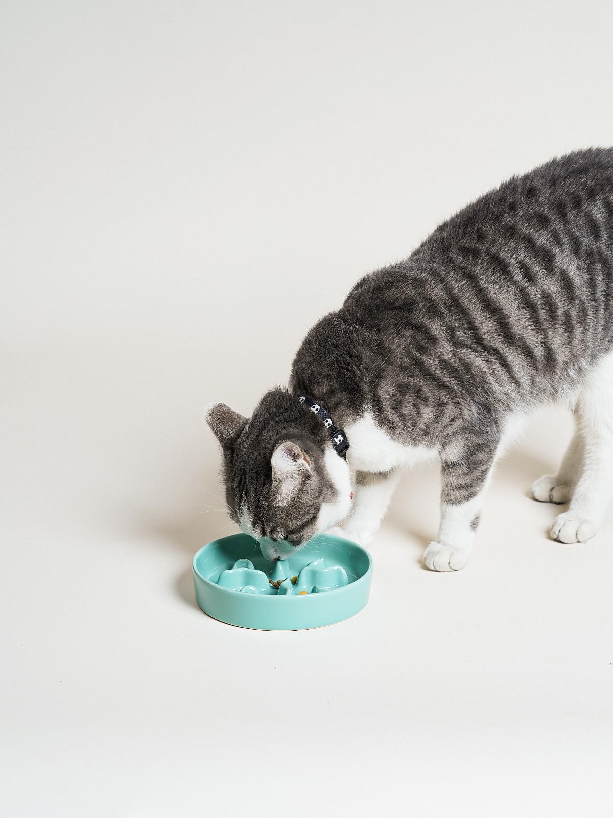 5.5 inch diameter fits compact feeding areas.
