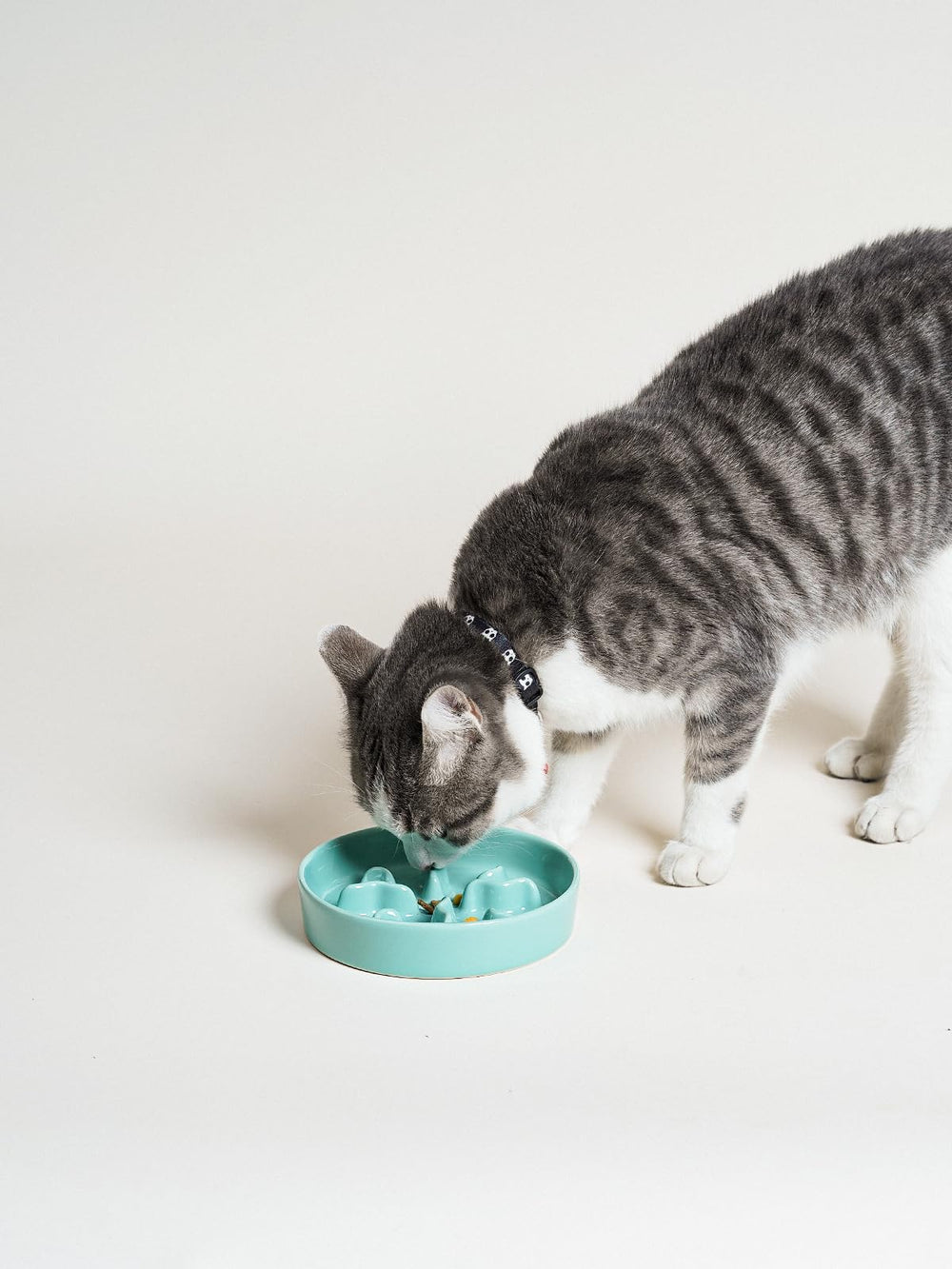5.5 inch diameter fits compact feeding areas.