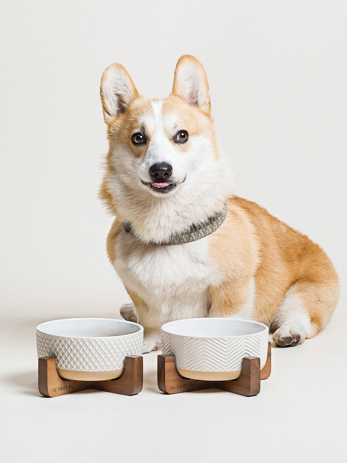 LE TAUCI PET non-slip pads keep bowls steady on the floor.