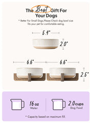 LE TAUCI PET non-slip pads prevent sliding during meals