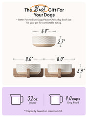 LE TAUCI PET rhombus-wave design adds decorative flair.