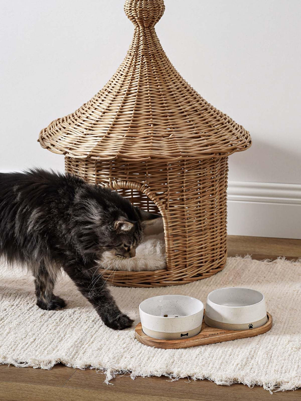 LE TAUCI PET two-bowl set is ideal for small dogs and cats.