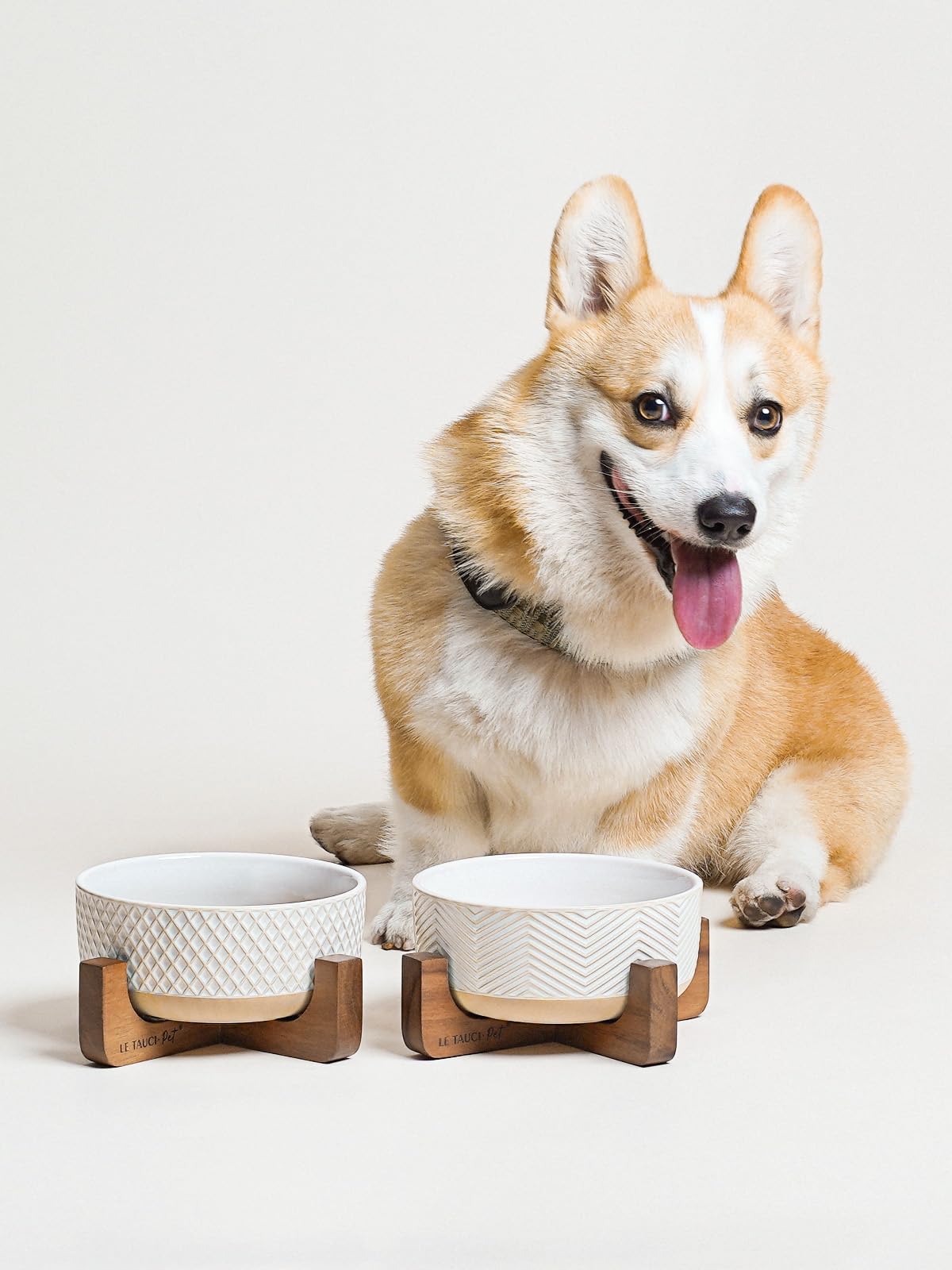 LE TAUCI PET two-bowl set ideal for small to medium dogs.