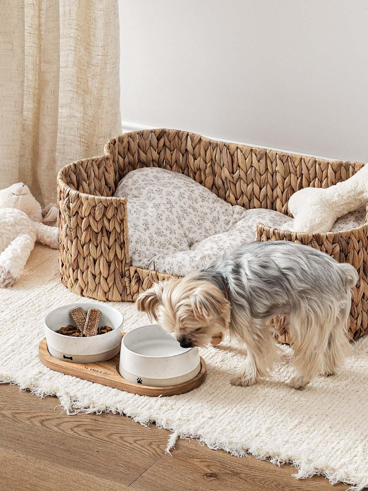 LE TAUCI PET water bowl with narrow rim to reduce spills.