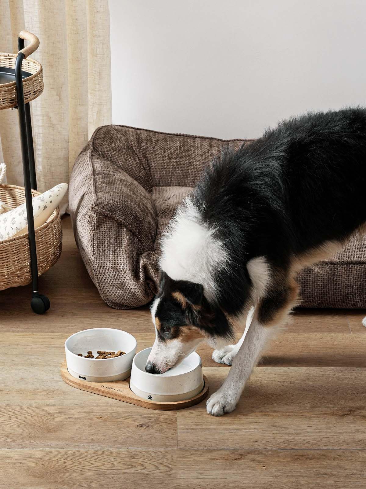 LE TAUCI PET ceramic food bowl wide opening for easy meals