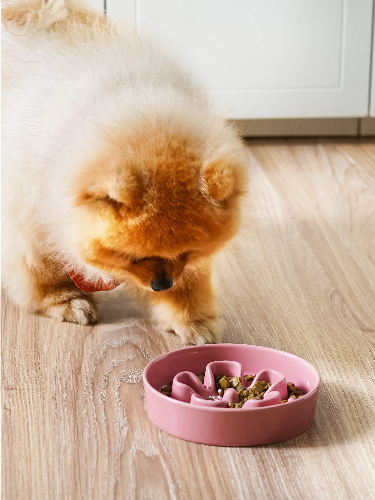 LE TAUCI Pink Bloom ceramic bowl showing maze design that slows eating safely.