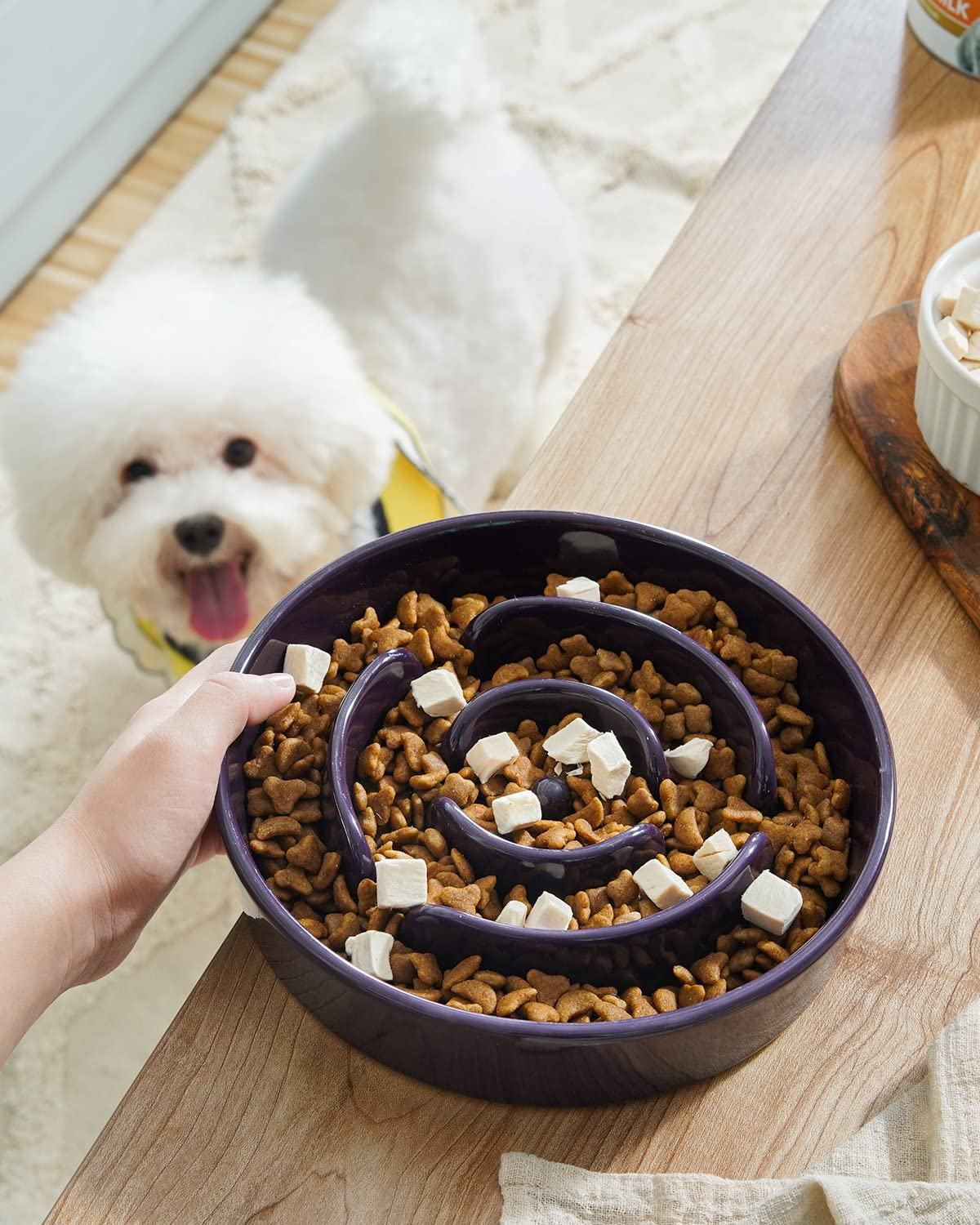 LE TAUCI premium ceramic bowl with non-slip base for stability