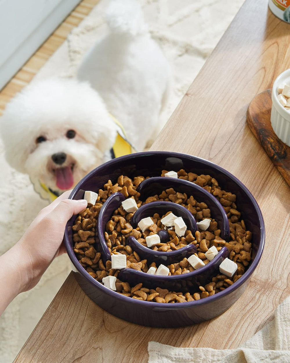 LE TAUCI premium ceramic bowl with non-slip base for stability