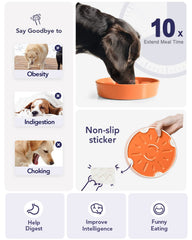 LE TAUCI durable ceramic dog bowl for daily use and long-lasting performance.