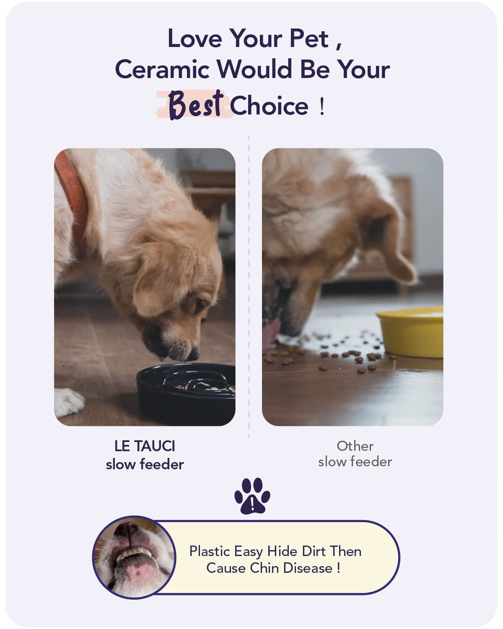 LE TAUCI puppy-friendly design supports gradual feeding for growing dogs.