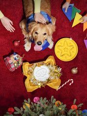 LE TAUCI puzzle bowl with maze pattern to encourage mindful eating in small dogs and cats