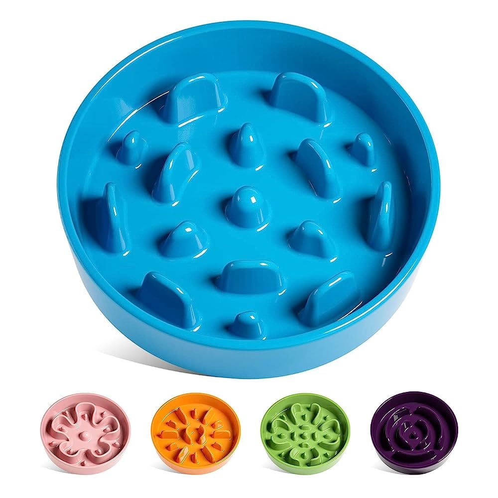LE TAUCI slow feeder bowl in vortex blue slows eating for mindful meals