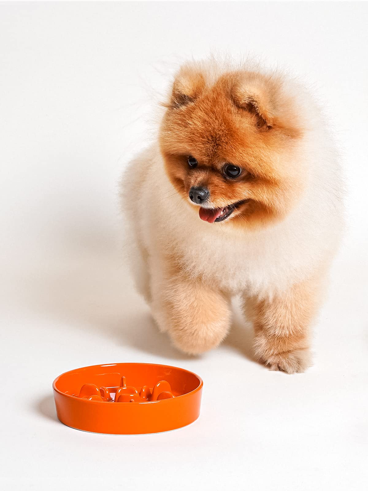 LE TAUCI sun-orange finish complements cozy pet feeding corners.