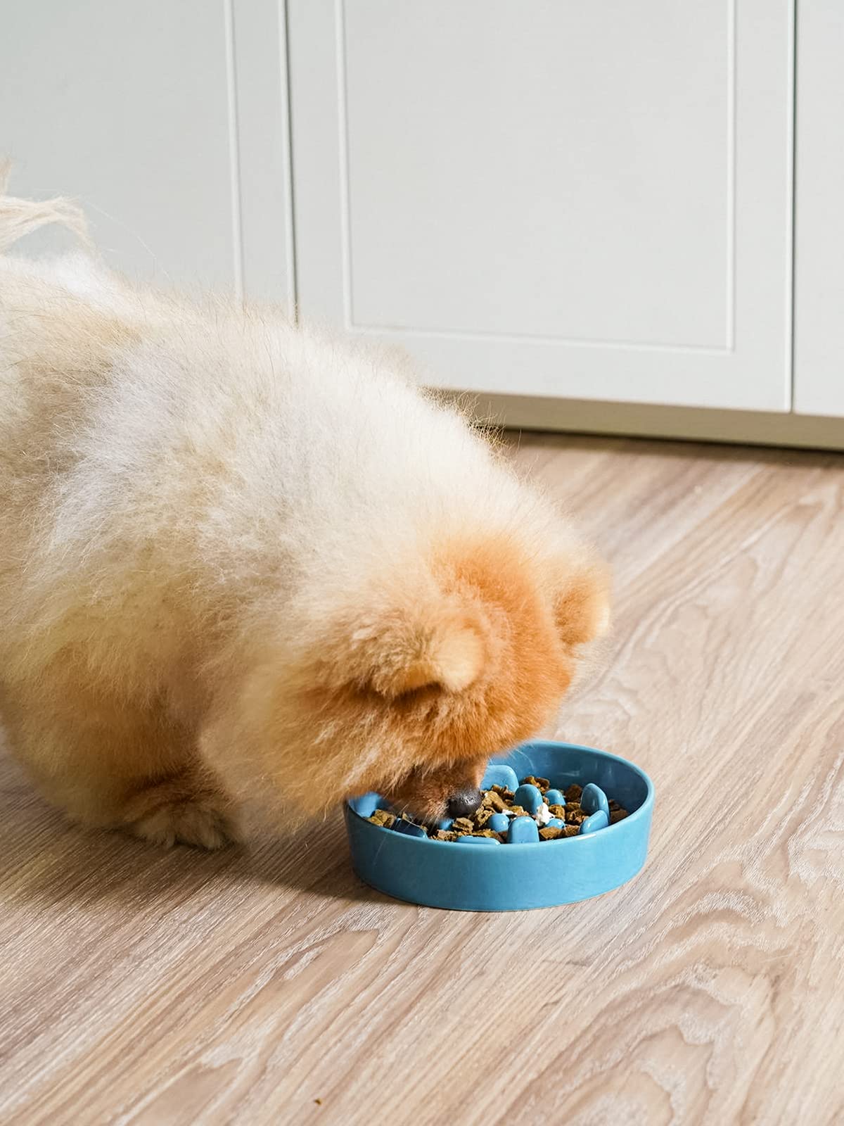 LE TAUCI vortex blue ceramic bowl with non-slip base to keep meals steady