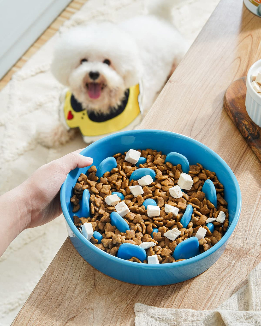 LE TAUCI vortex blue dog bowl with maze design slows fast eaters.