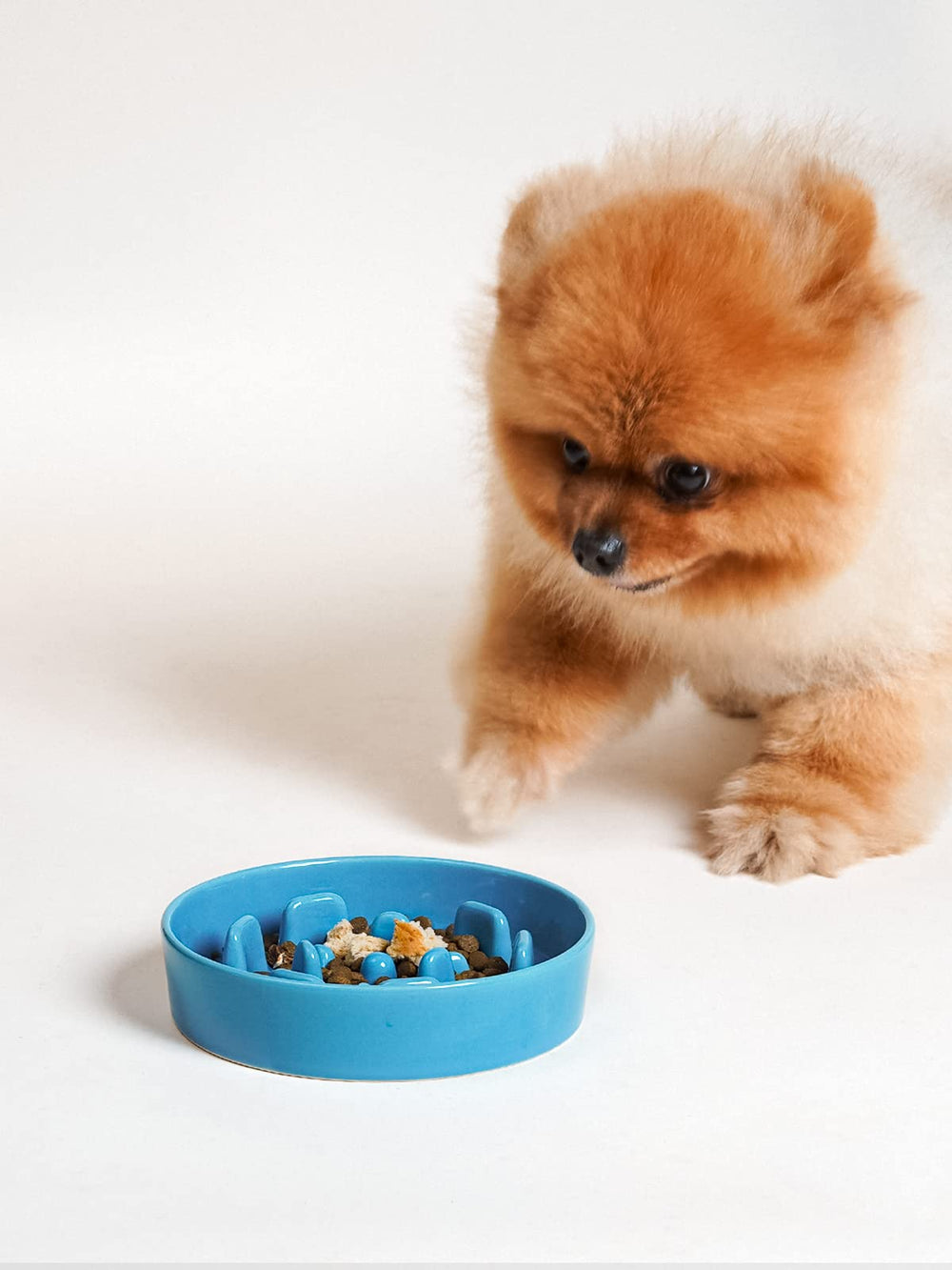 LE TAUCI vortex blue durable ceramic bowl withstands daily use