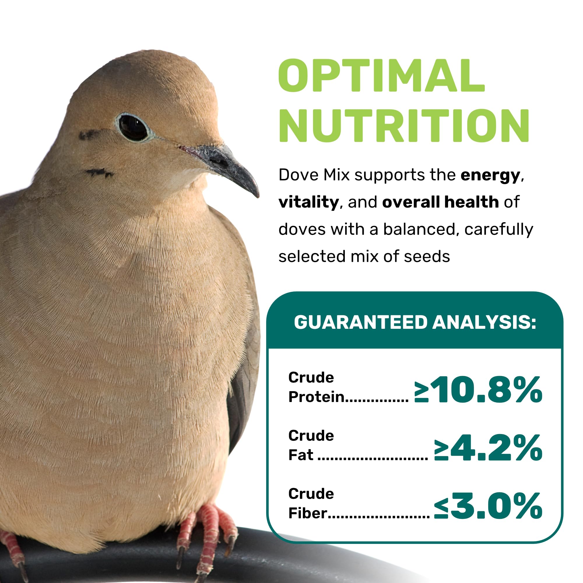 LEACH GRAIN & MILLING CO. Dove Mix ingredients closeup—balanced millet and safflower for natural foraging.