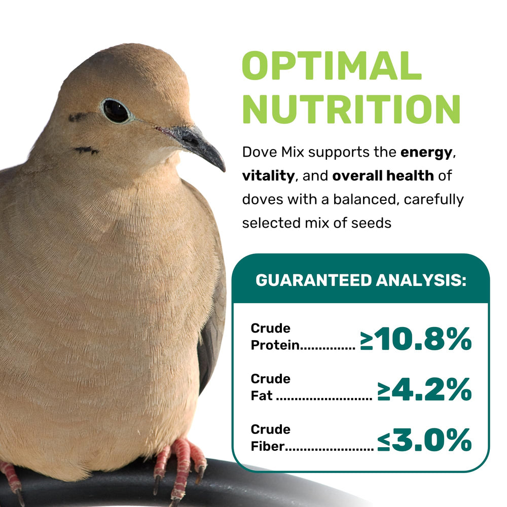 LEACH GRAIN & MILLING CO. Dove Mix ingredients closeup—balanced millet and safflower for natural foraging.