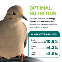 LEACH GRAIN & MILLING CO. Dove Mix ingredients closeup—balanced millet and safflower for natural foraging.