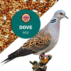 LEACH GRAIN & MILLING CO. Dove Mix outdoor feeder scene—attracts doves and songbirds in yards.