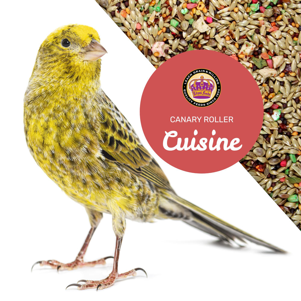LEACH Canary Cuisine promotes daily energy and digestion support in birds