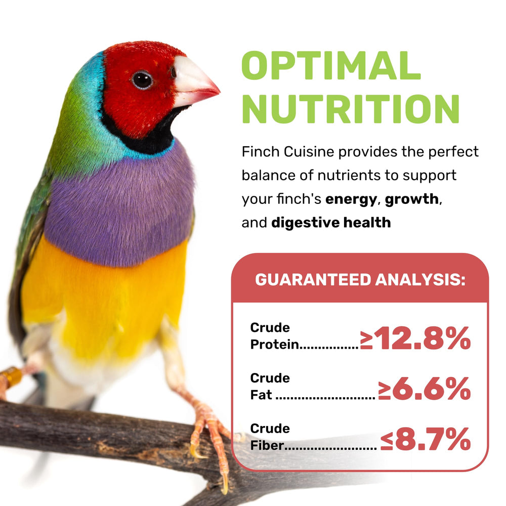 Close-up on Finch Cuisine ingredients: quinoa, canary seed, millet, flax for birds.
