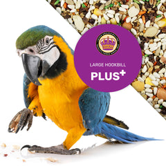 Energy bowl scene with Large Hookbill Plus suggests active, engaged behavior.