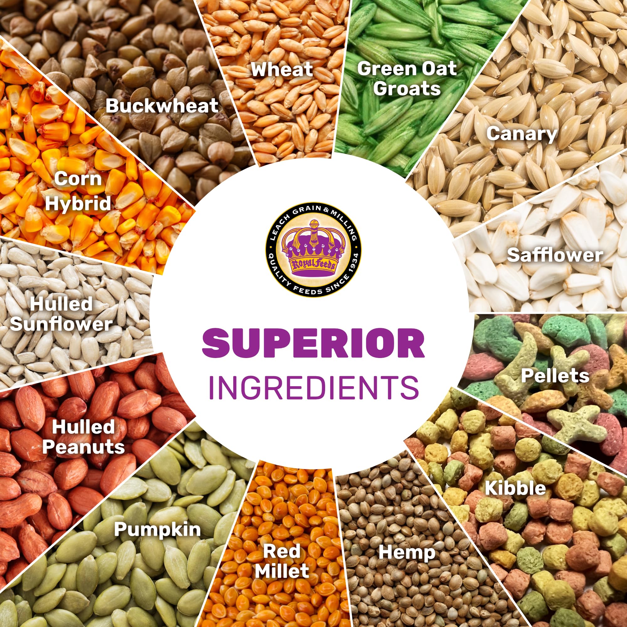 Ingredients closeup features safflower, peanuts, pumpkin and hemp from a natural mix.