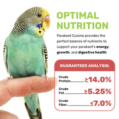 LEACH GRAIN & MILLING CO. Parakeet Cuisine colorful-plumage image highlights vibrant feather health.