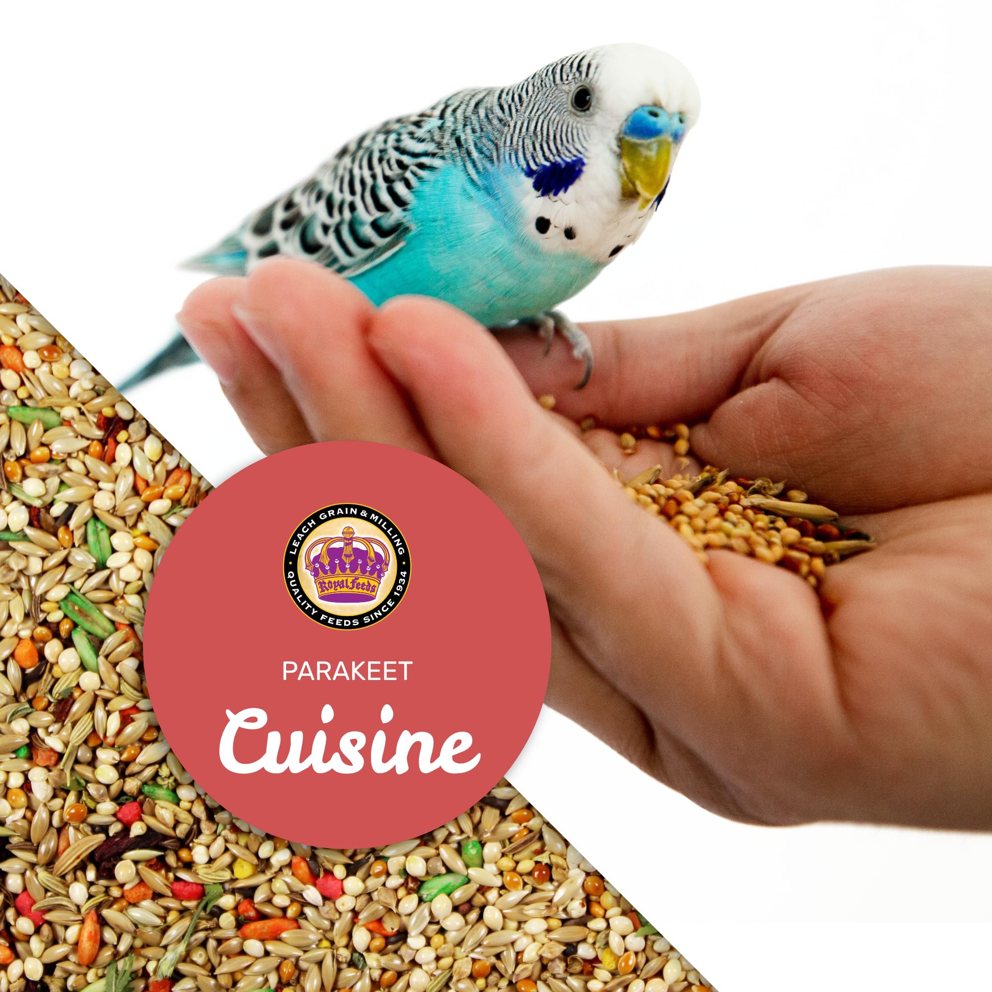 LEACH GRAIN & MILLING CO. Parakeet Cuisine seed-variety closeup showcases diverse nutrition.