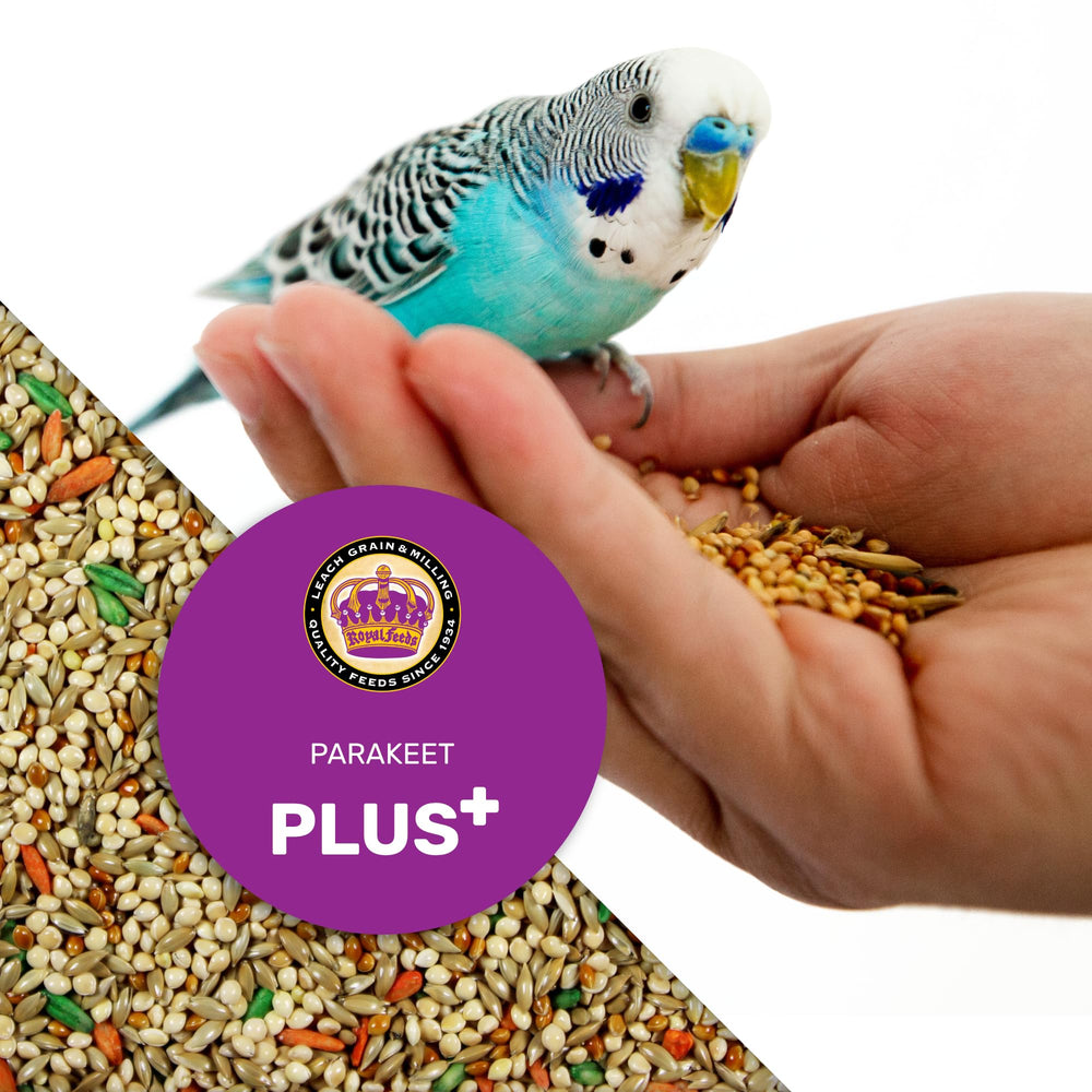 Nutrition label detail on LEACH Parakeet Food Plus bag