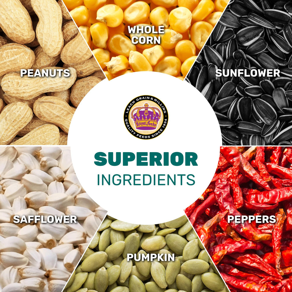 LEACH GRAIN AND MILLING CO Parrot feathers shine, energy-supporting nutrition for plumage.