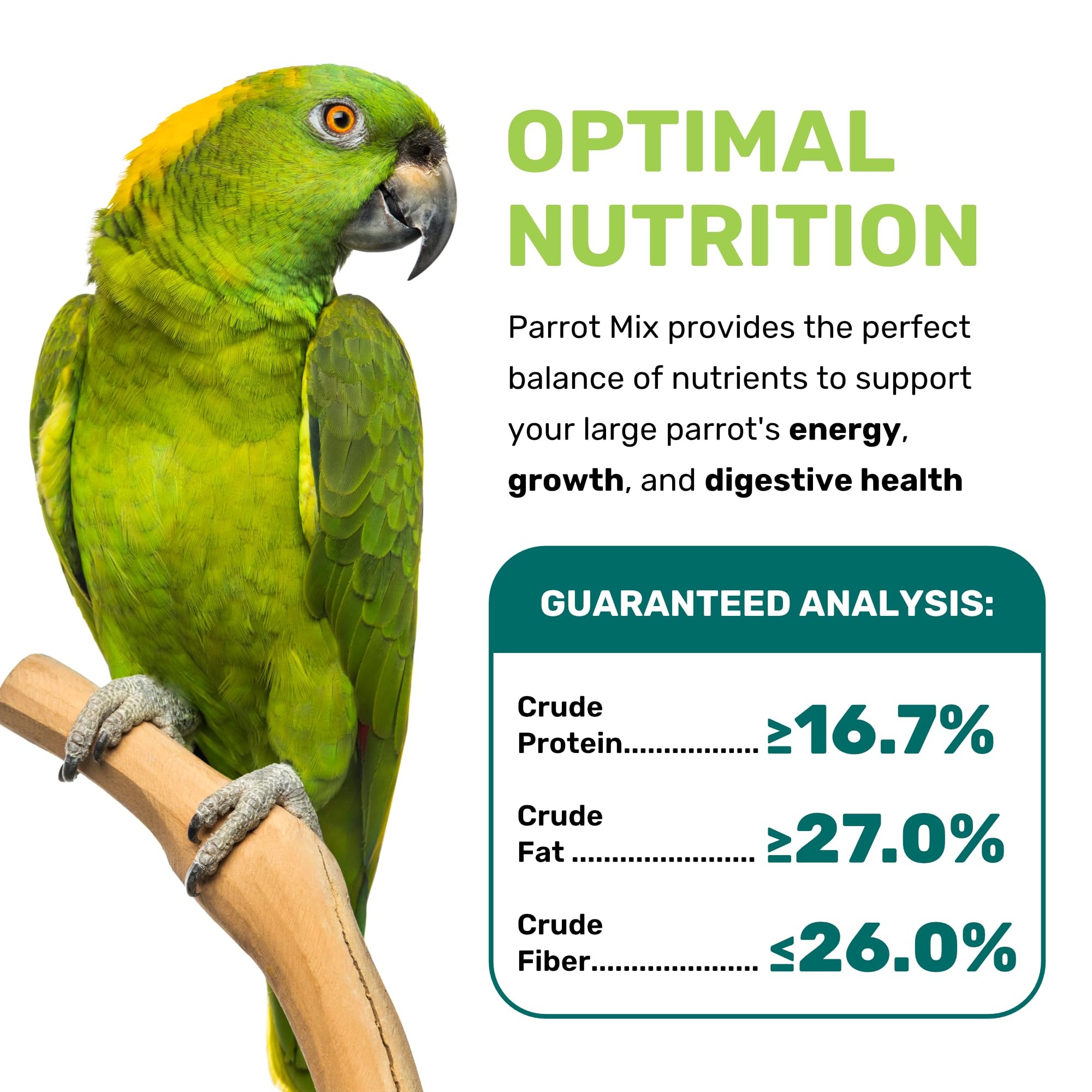 LEACH GRAIN AND MILLING CO Parrot meal time serve, easy daily feeding option.