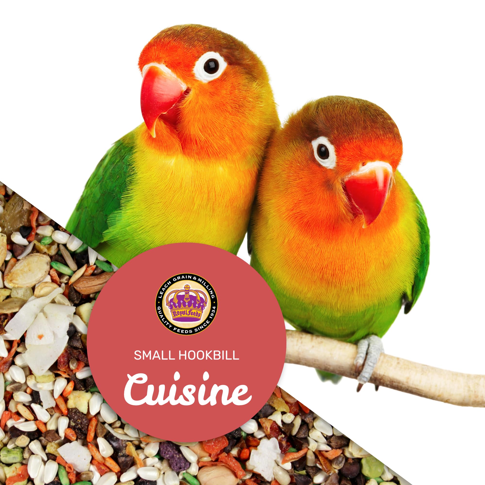 LEACH GRAIN & MILLING CO. Bird feeding with Small Hookbill Cuisine promotes healthy plumage