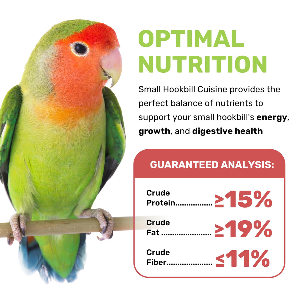 LEACH GRAIN & MILLING CO. Parrot enjoying Small Hookbill Cuisine for sustained energy