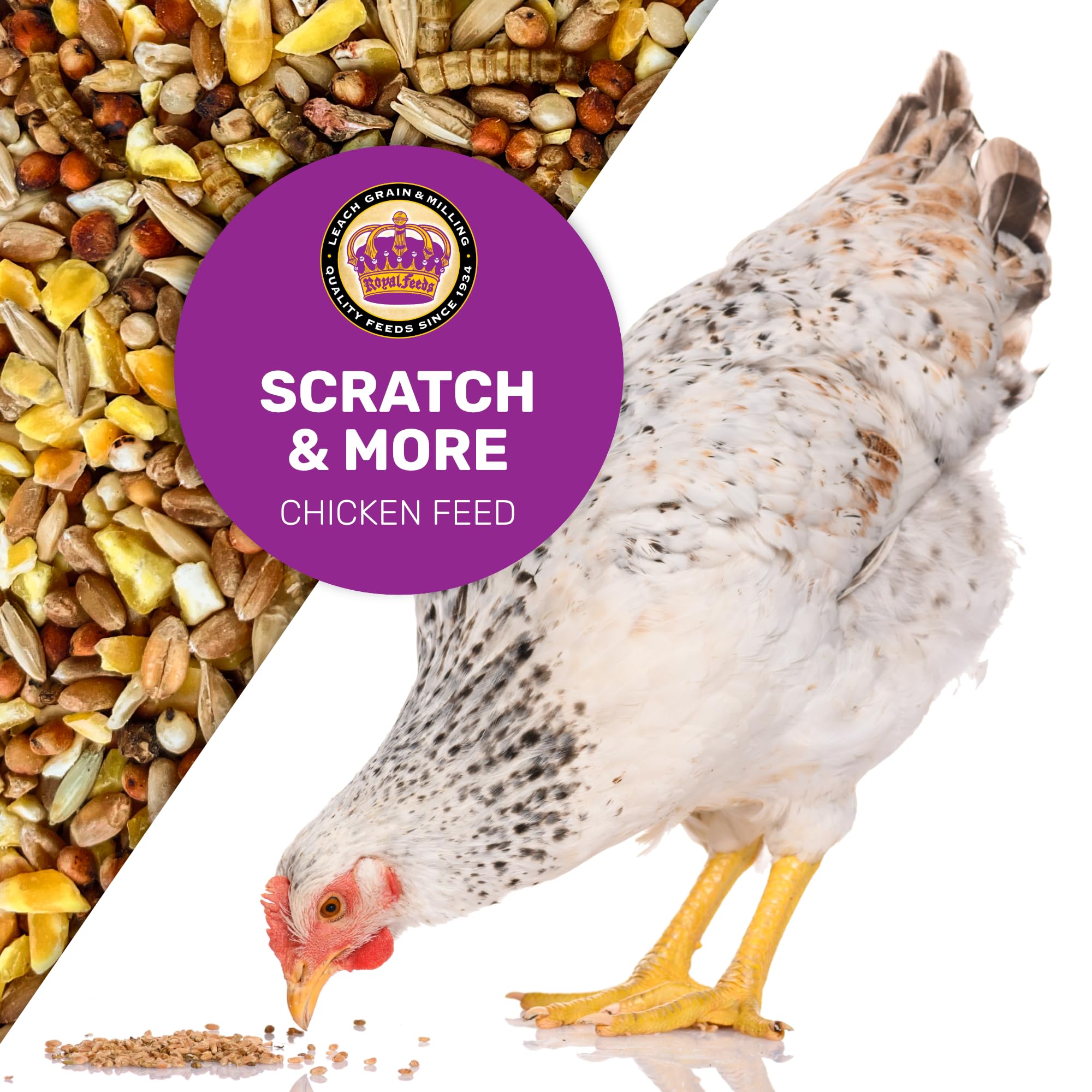 Leach Scratch & More backyard flock dinner promotes varied textures at mealtime.