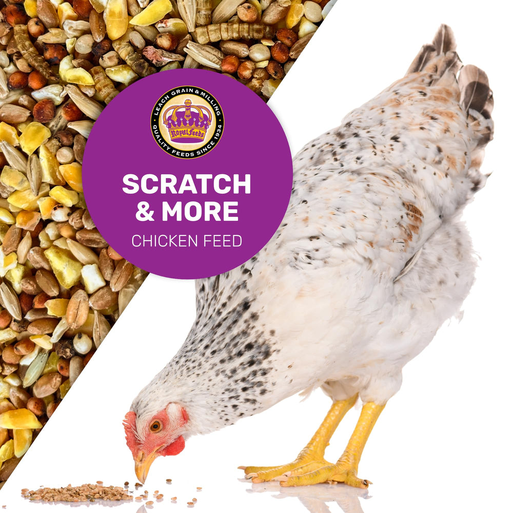 Leach Scratch & More backyard flock dinner promotes varied textures at mealtime.