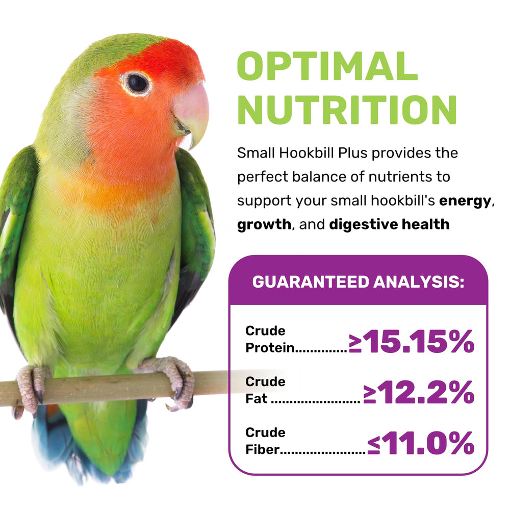 LEACH Small Hookbill Plus in bowl highlights flavor variety for picky eaters.