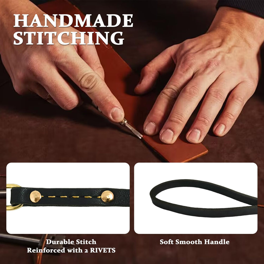 Leadfar double-stitched leash close-up highlighting reinforced stitching for durability