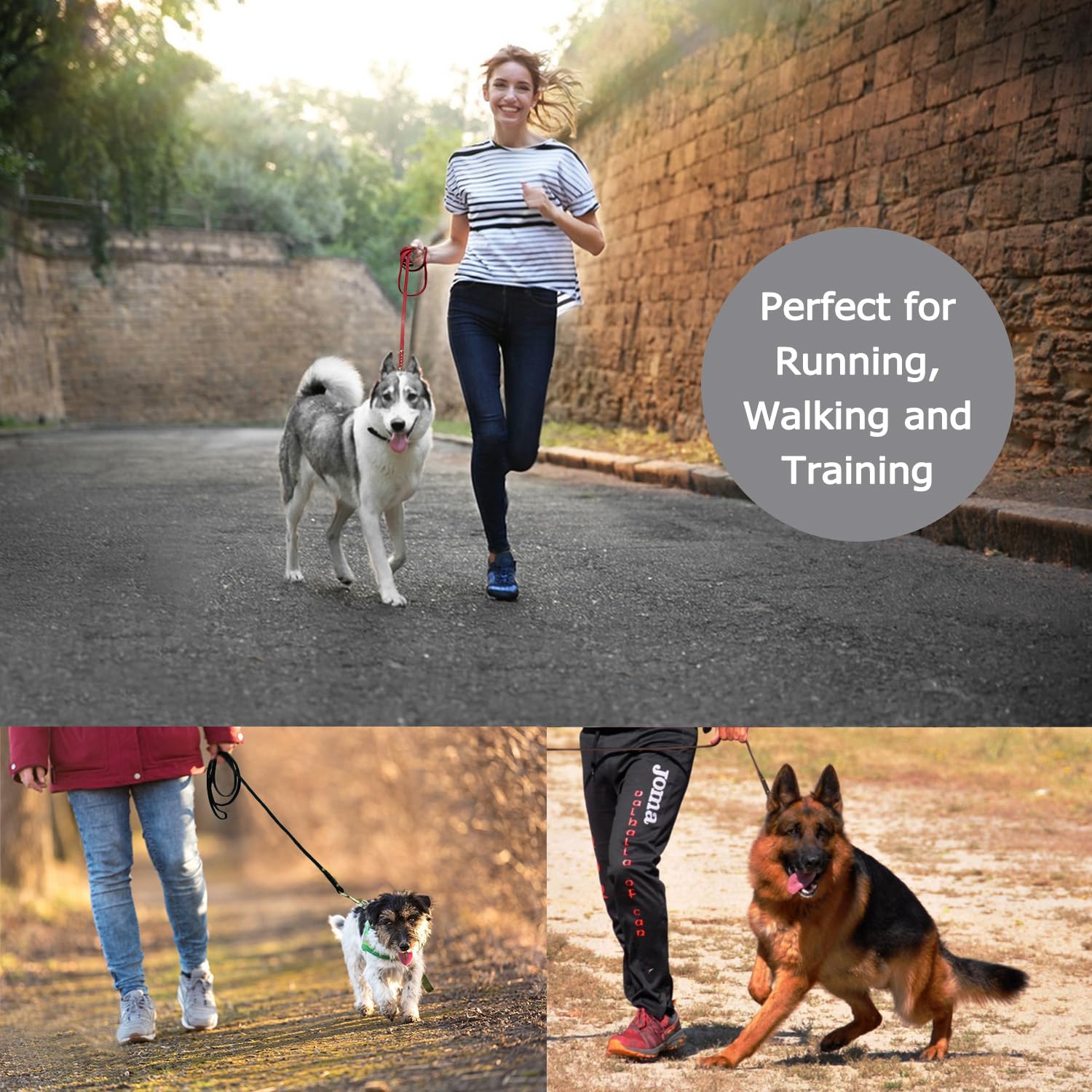 Leadfar durable clip leash illustrating high tensile resistance for training