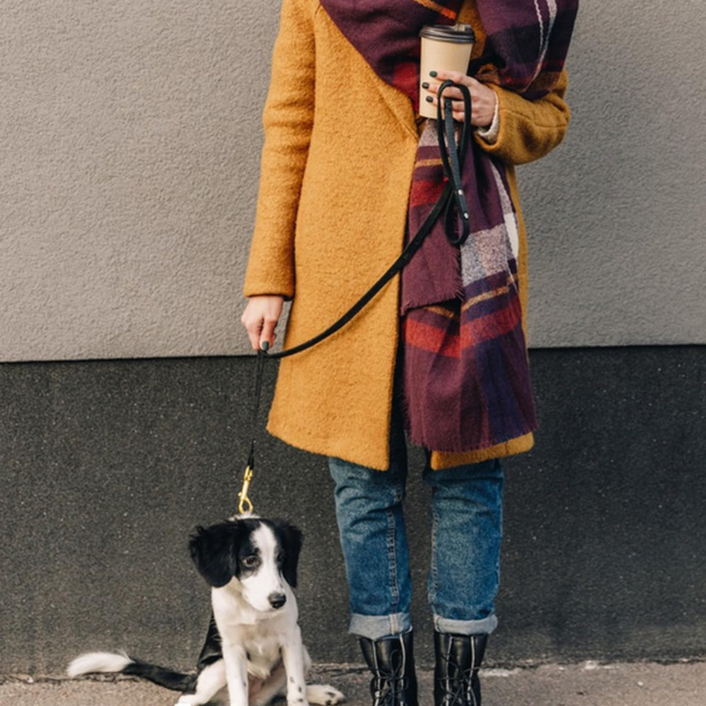 Leadfar leash in use for walking and training with various dog sizes