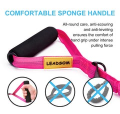 LEADSOM bungee-design leash reduces jerks for smoother runs.