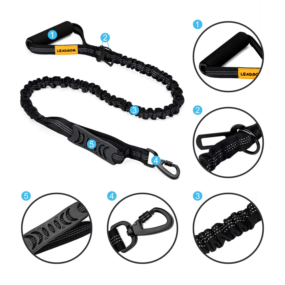 LEADSOM heavy-duty elastic leash built for durability and active dogs.