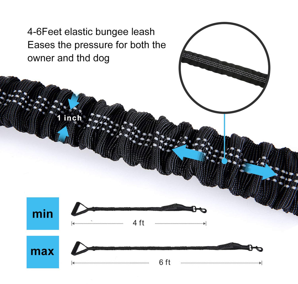 LEADSOM medium-dog friendly leash design for versatile use.