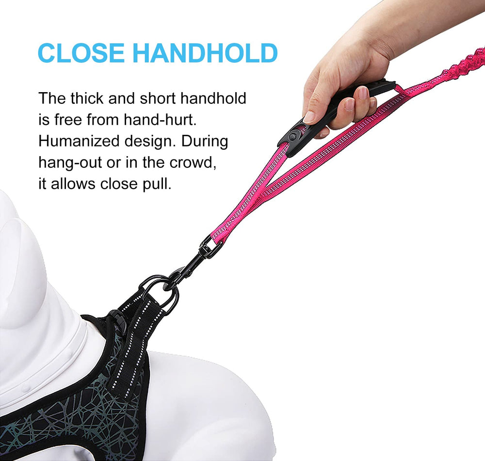 LEADSOM reflective-threads leash enhances night visibility for safer walks.