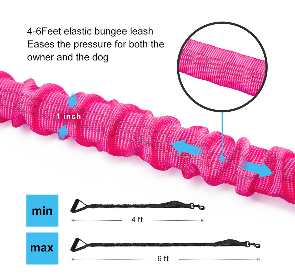 LEADSOM traffic-handle leash provides close control on busy sidewalks.