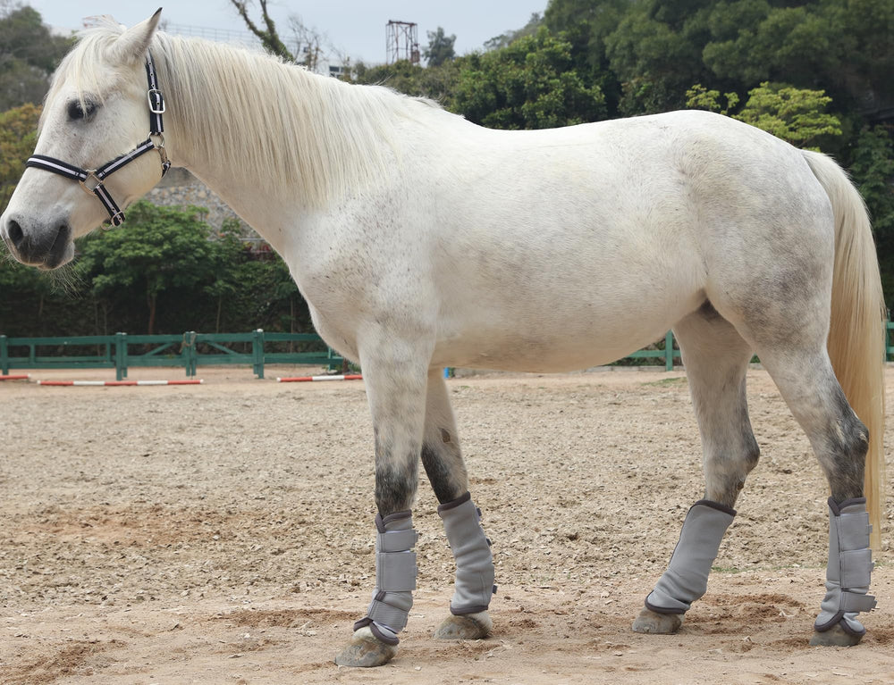 LEAFOREST Horse Fly Boots in pasture use demonstrating mobility and protection.