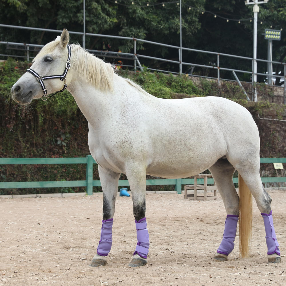 LEAFOREST horse fly boots, front-right view, secure-fit protection against pests.