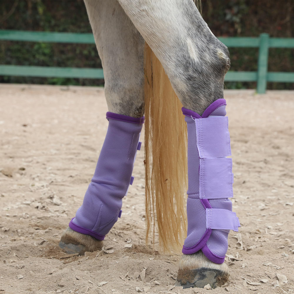 LEAFOREST horse fly boots, rear-right view, quick-drying mesh keeps legs clean.