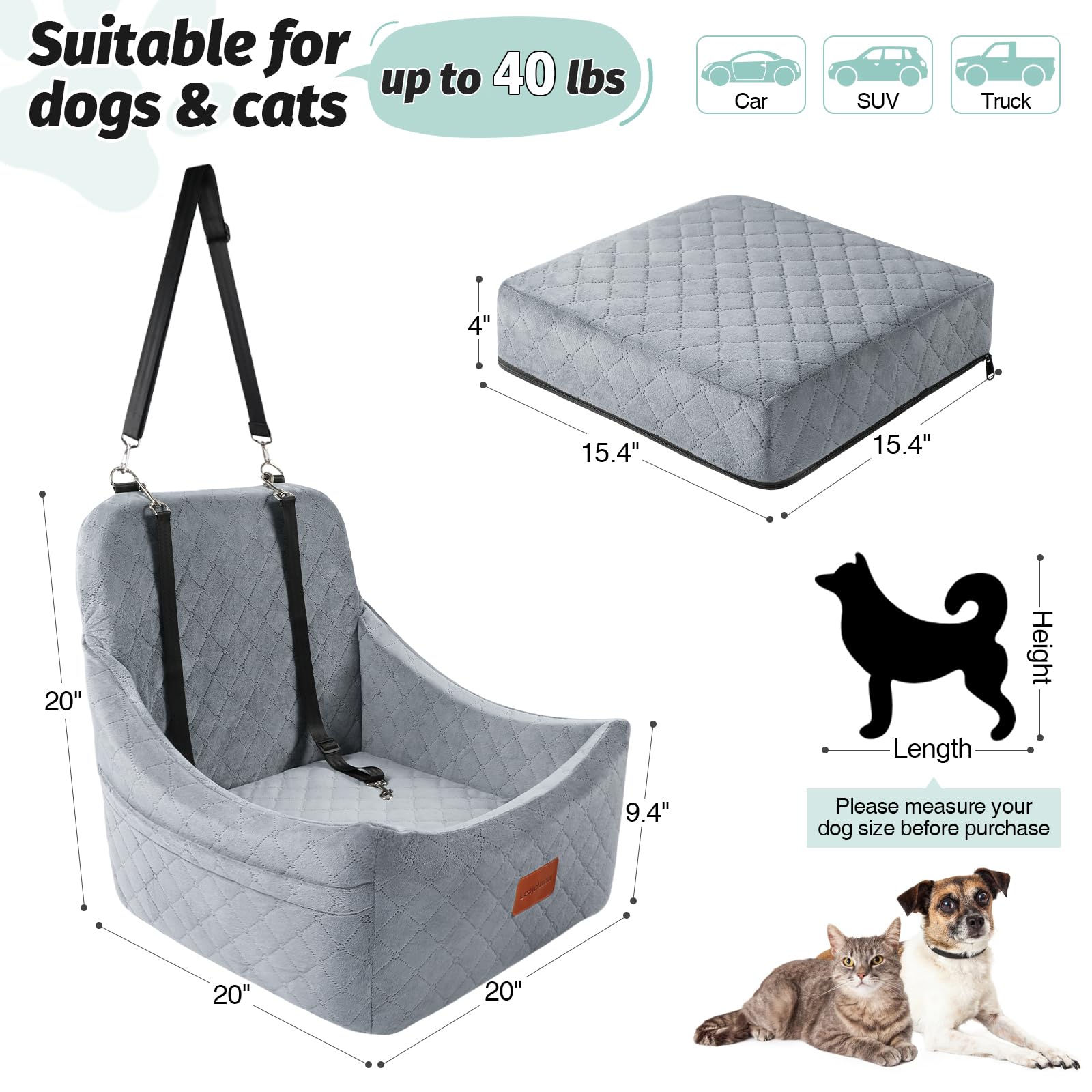 Lealchum memory foam interior supports medium dogs on longer trips.